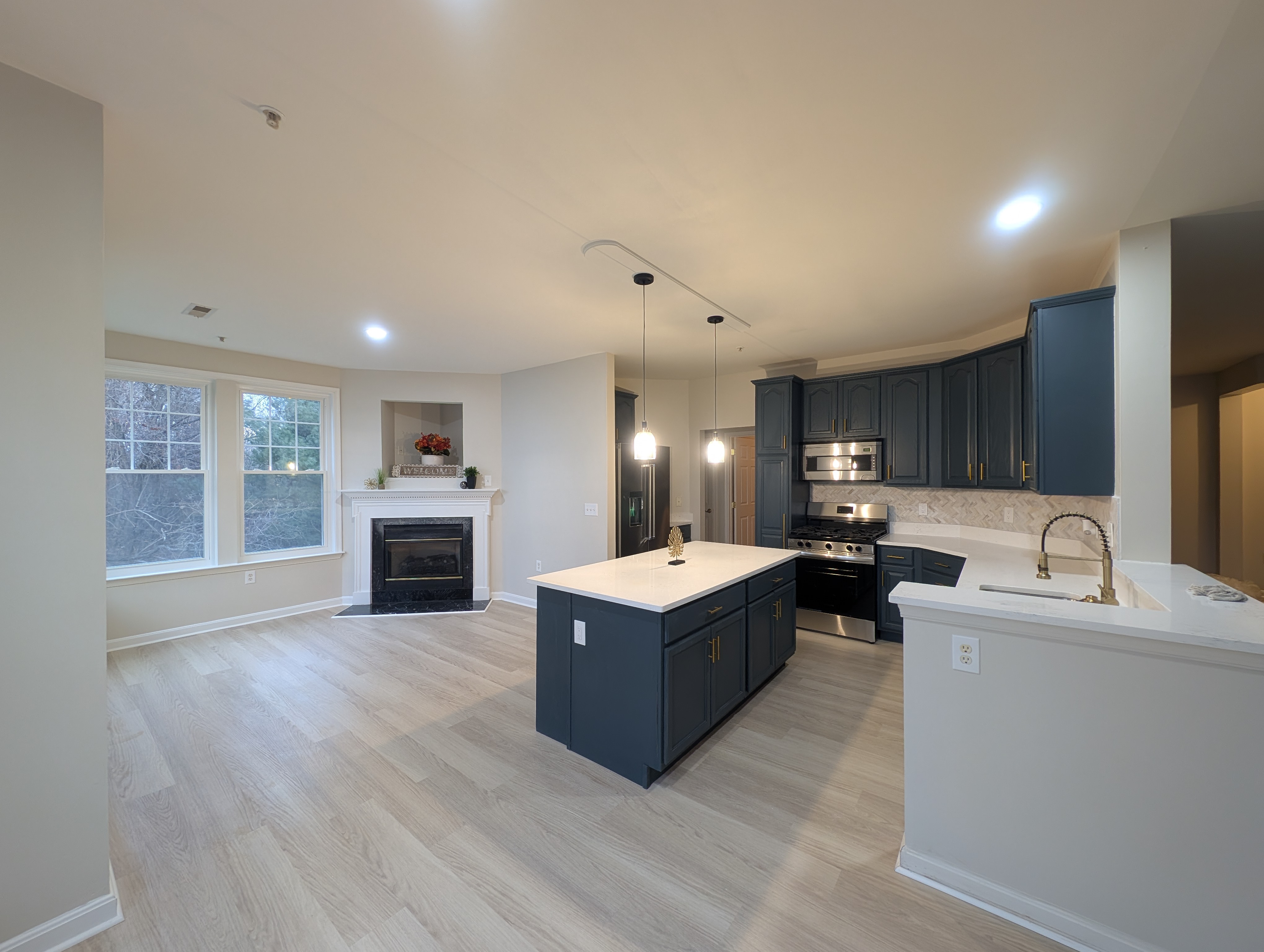 Gourmet Kitchen Renovation